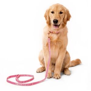 Jeffree Star Pink Dog Leash with Gold Hardware NWT Size L